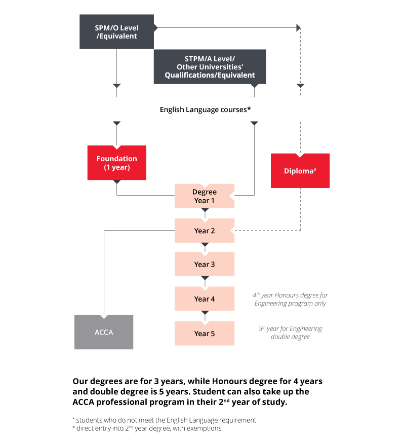 study-pathway-degree